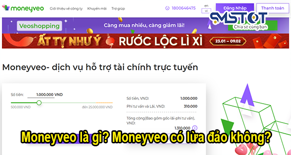 moneyveo la gi